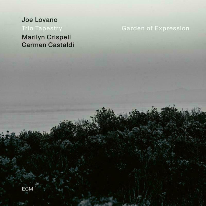 Joe Lovano: Garden of Expression