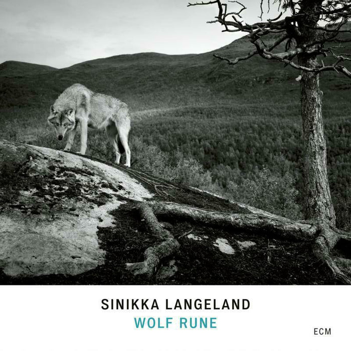 Sinikka Langeland: Wolf Rune