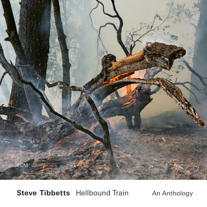 Steve Tibbetts: Hellbound Train - An Anthology (2CD)