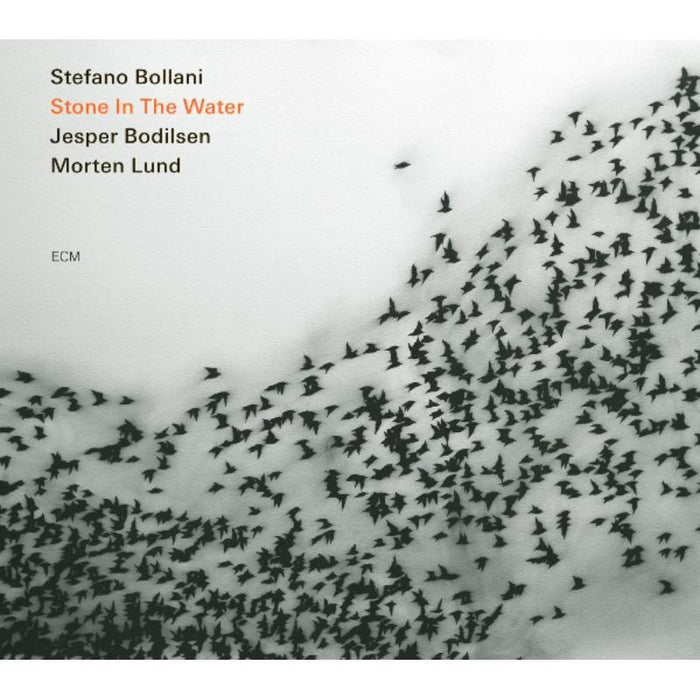 Stefano Bollani Trio: Stone In The Water