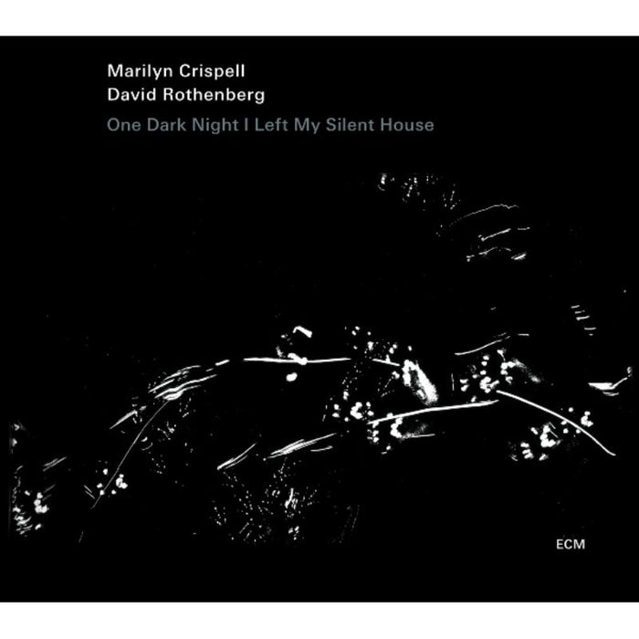 Marilyn Crispell & David Rothenberg: One Dark Night I Left My Silent House