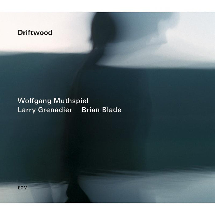 Wolfgang Muthspiel, Larry Grenadier & Brian Blade: Driftwood