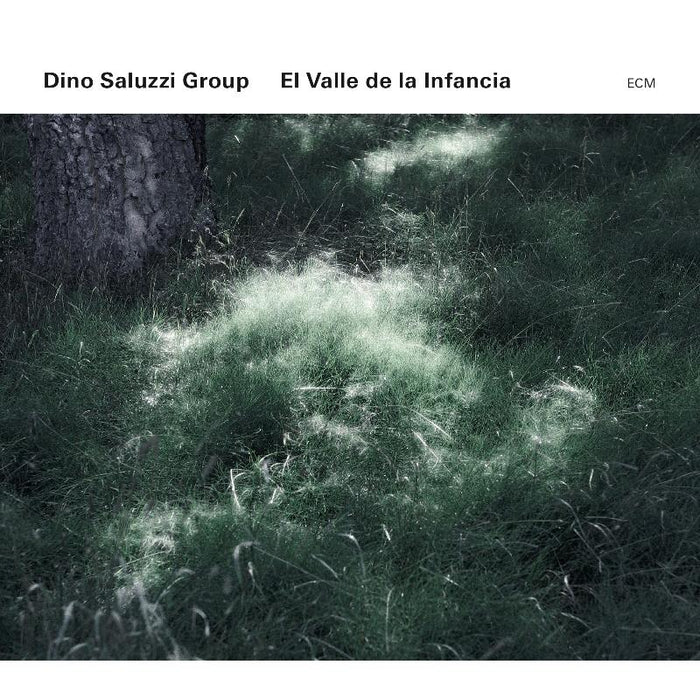 Dino Saluzzi Group: El Valle de la Infancia