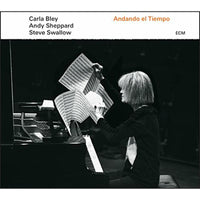 Carla Bley, Andy Sheppard & Steve Swallow - Andando El Tiempo - 4779711