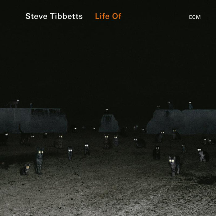 Steve Tibbetts: Life Of