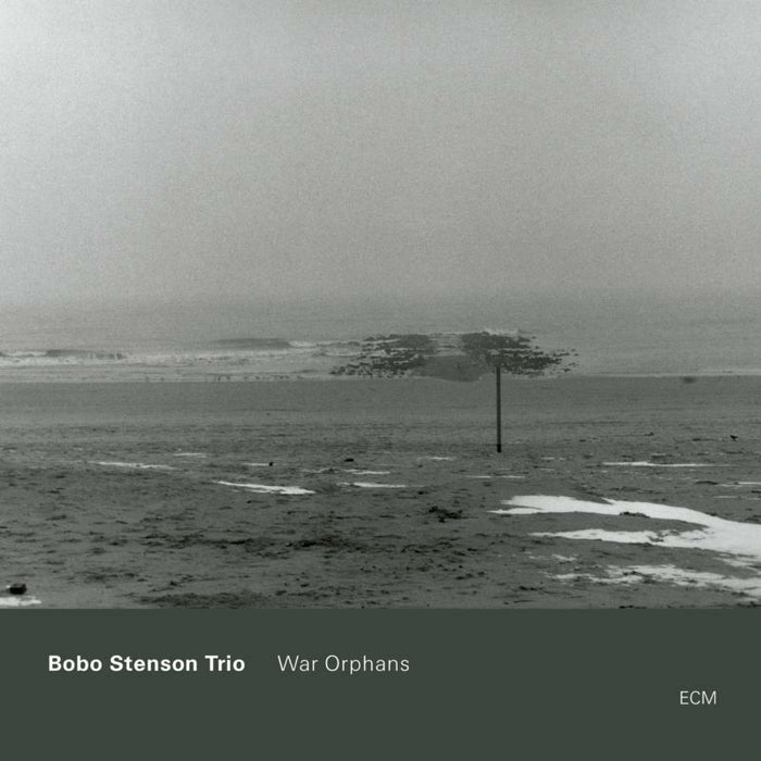 Bobo Stenson Trio: War Orphans