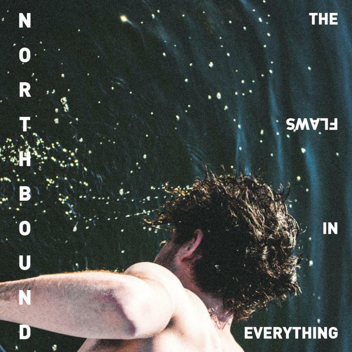 Northbound: The Flaws In Everything (LP)