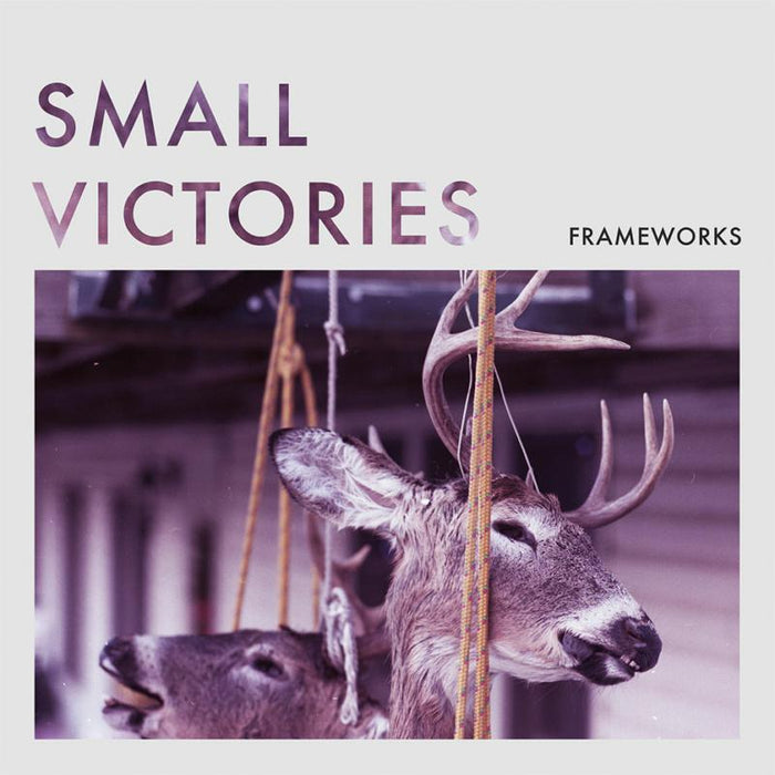 Frameworks: Small Victories - 7