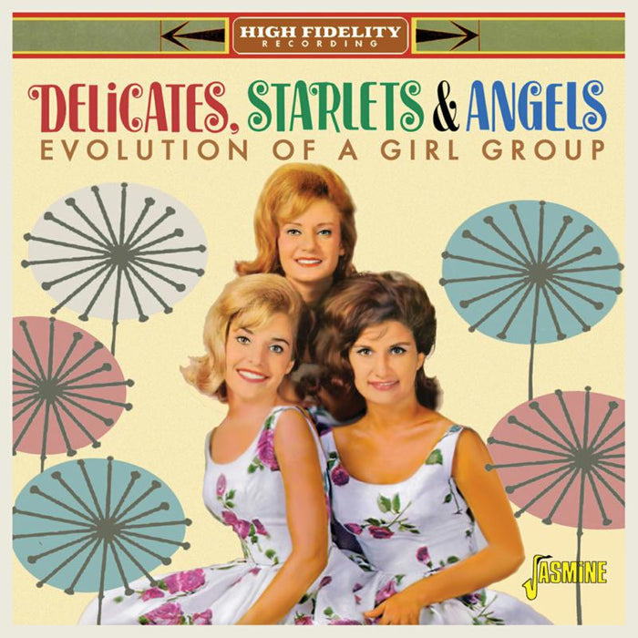 Delicates, Starlets & Angles: Evolution Of A Vocal Group