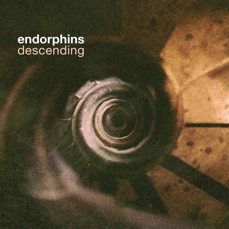 Endorphins: Descending
