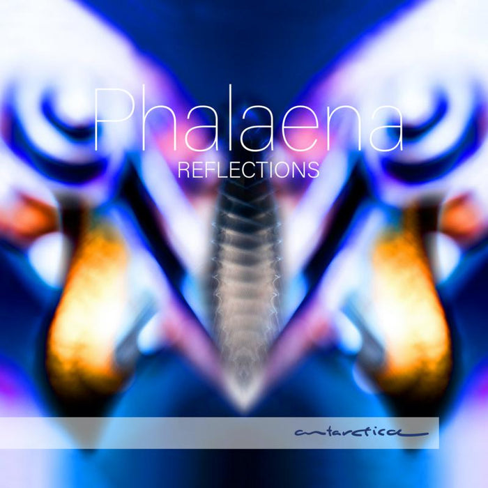 Phalaena: Reflections