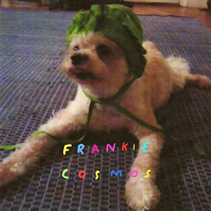 Frankie Cosmos: Zentropy