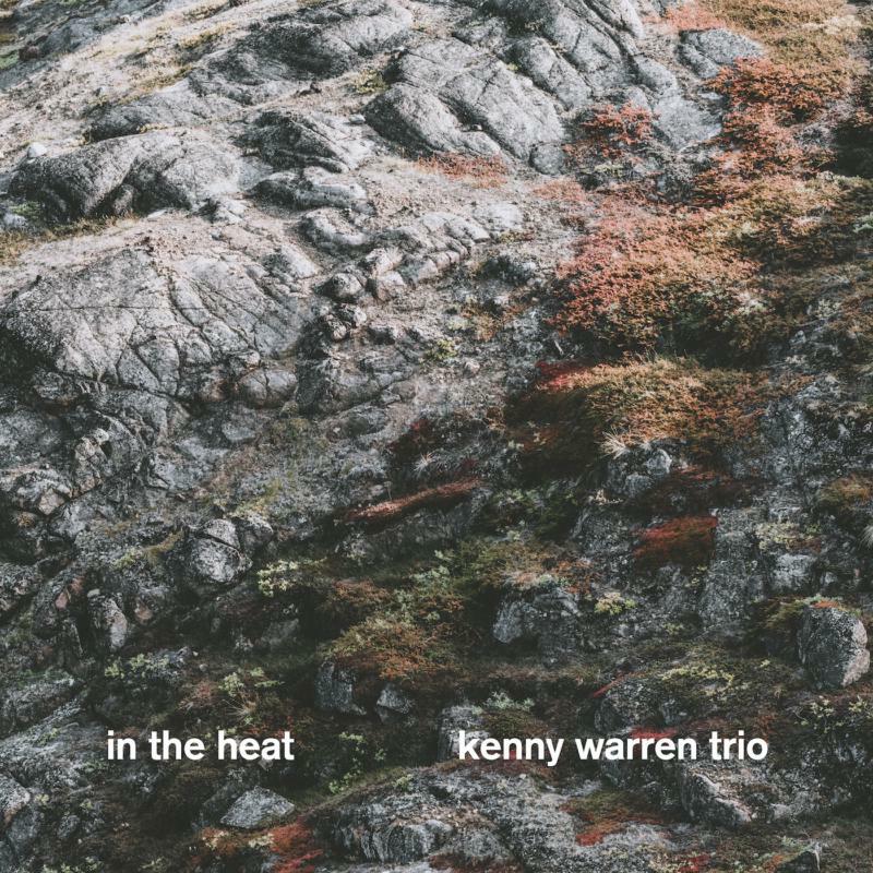 Kenny Warren Trio: In The Heat (LP)