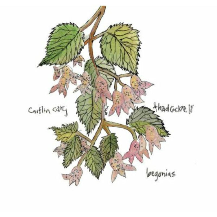 Caitlin Cary and Thad Cockrell: Begonias