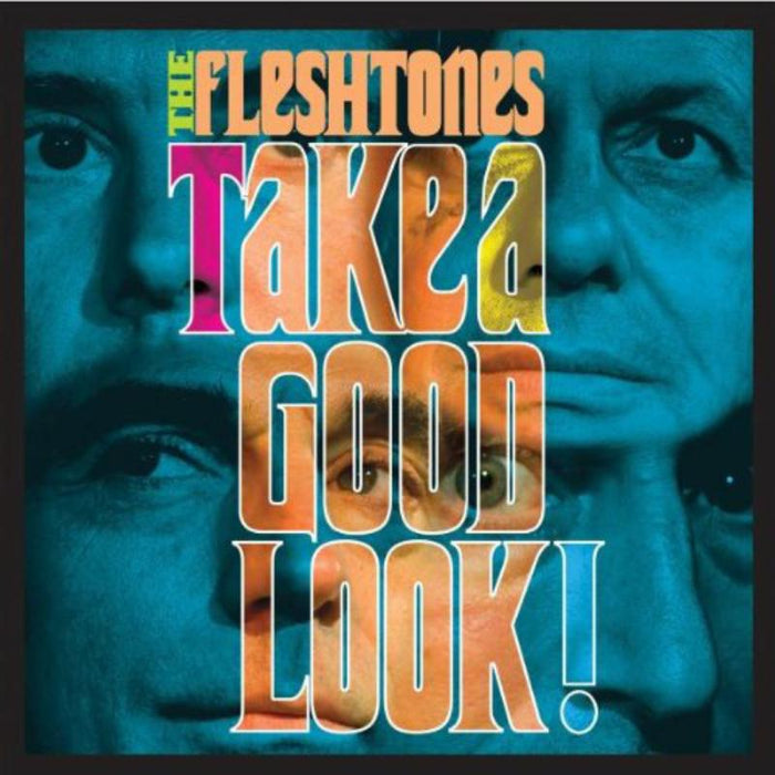 The Fleshtones: Take a Good Look