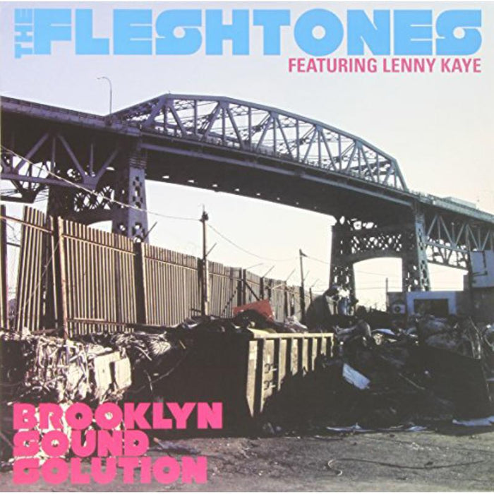 The Fleshtones: Brooklyn Sound Solution