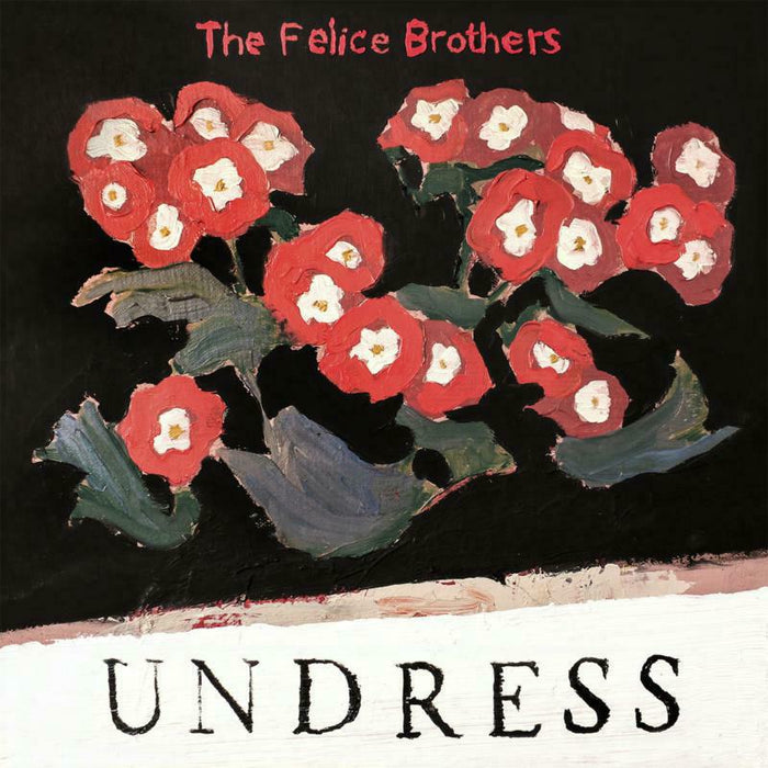 The Felice Brothers: Undress