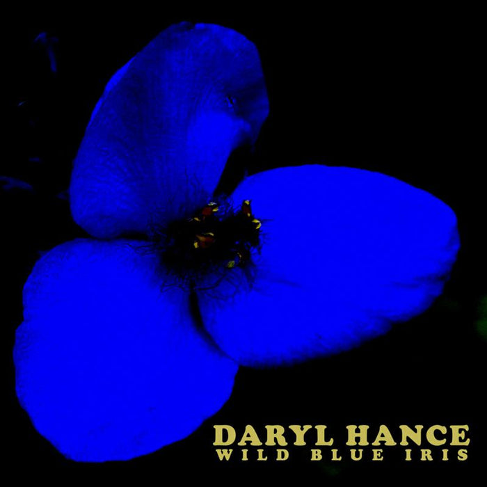 Daryl Hance: Wild Blue Iris