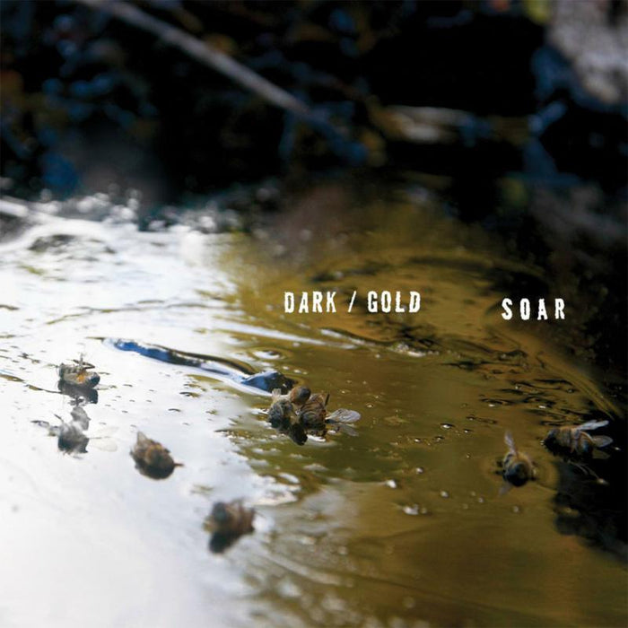 Soar: Dark / Gold
