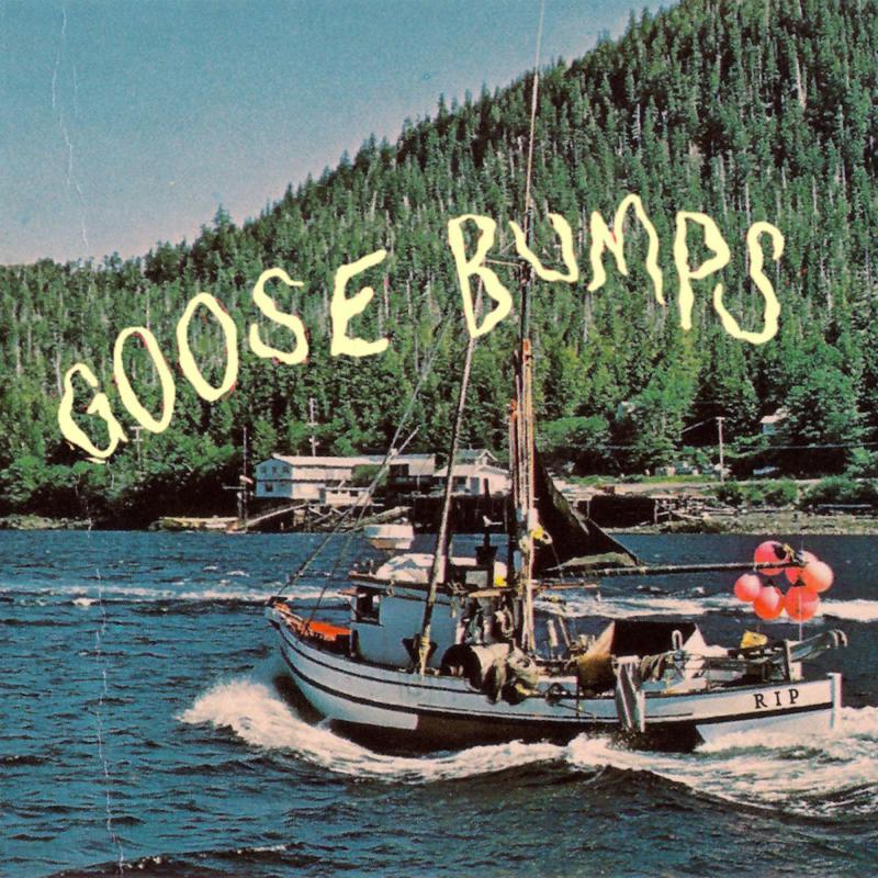 Boyscott: Goose Bumps