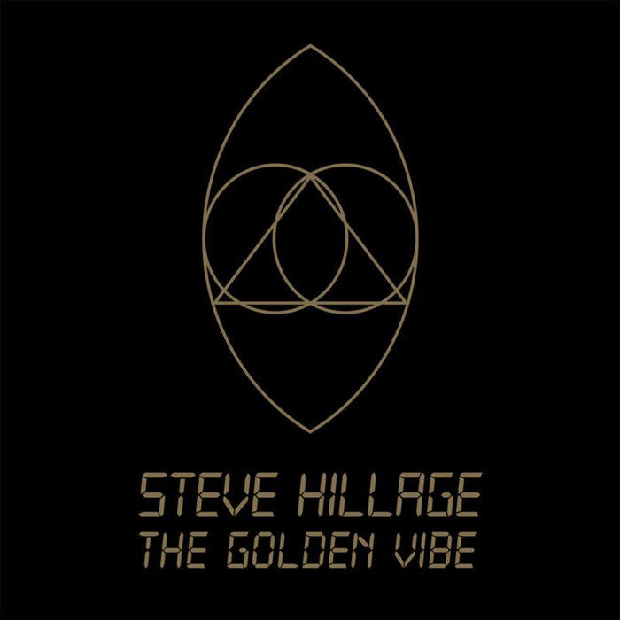 Steve Hilage: The Golden Vibe (2 LP 140Gram Gatefold Sleeve )