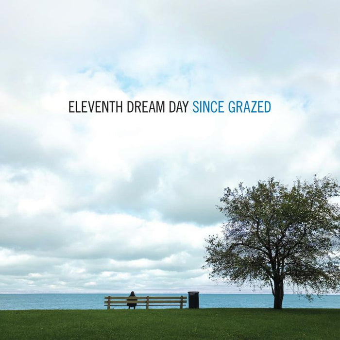 Eleventh Dream Day: Since Grazed (2LP)
