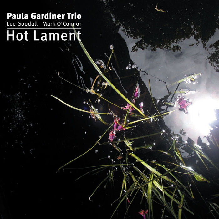 Paula Gardiner Trio, Lee Goodall & Mark O'Connor: Hot Lament