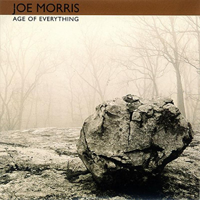 Joe Morris Trio: Age Of Everything