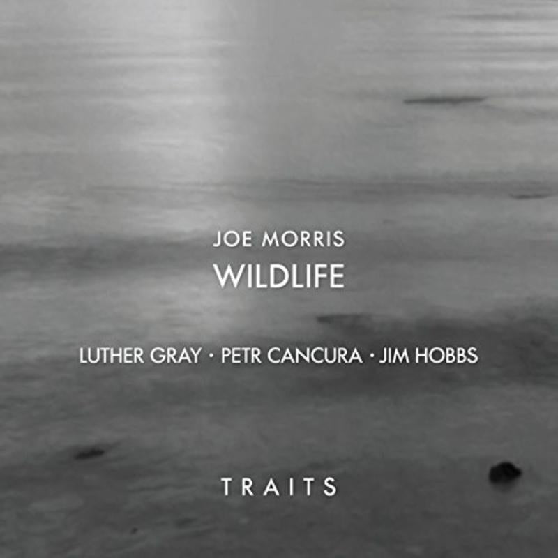 Joe Morris, Petr Cancura, Jim Hobbs & Luther Gray: Traits