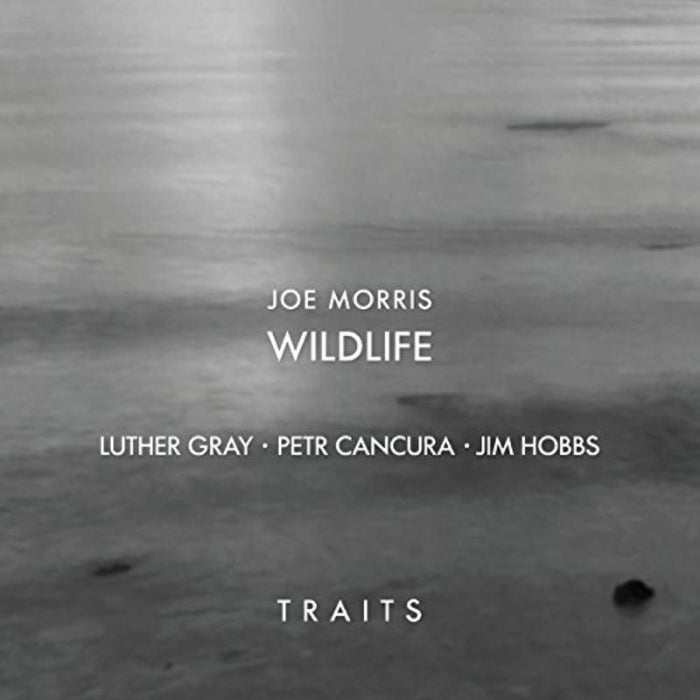 Joe Morris, Petr Cancura, Jim Hobbs & Luther Gray: Traits