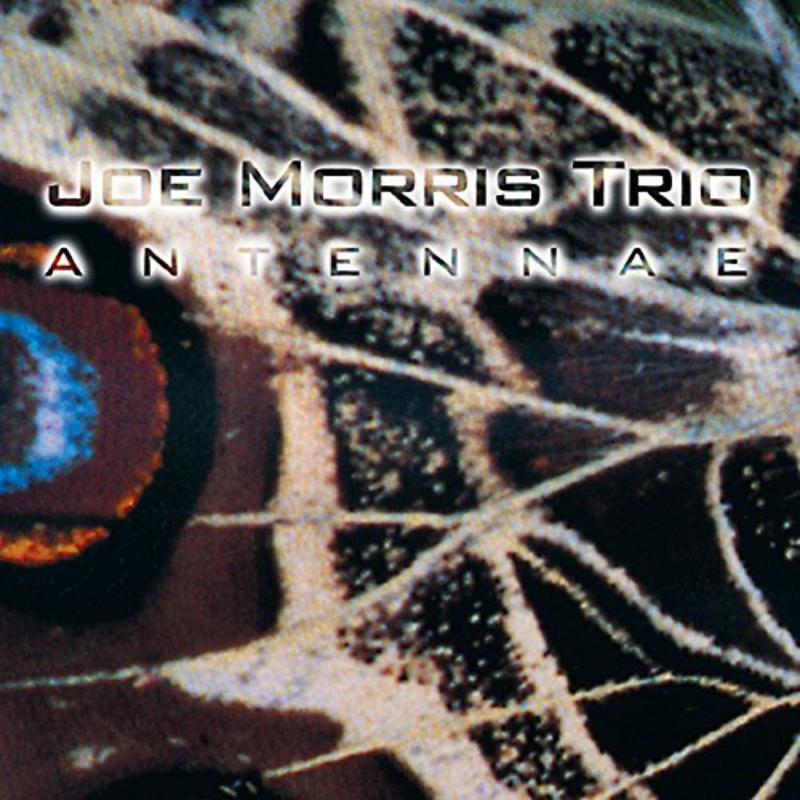 Joe Morris Trio: Antennae