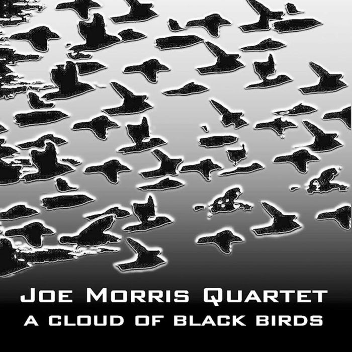 Joe Morris Quartet: A Cloud Of Black Birds