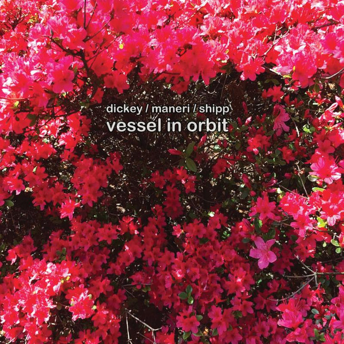 Whit Dickey, Mat Maneri & Matthew Shipp: Vessel in Orbit