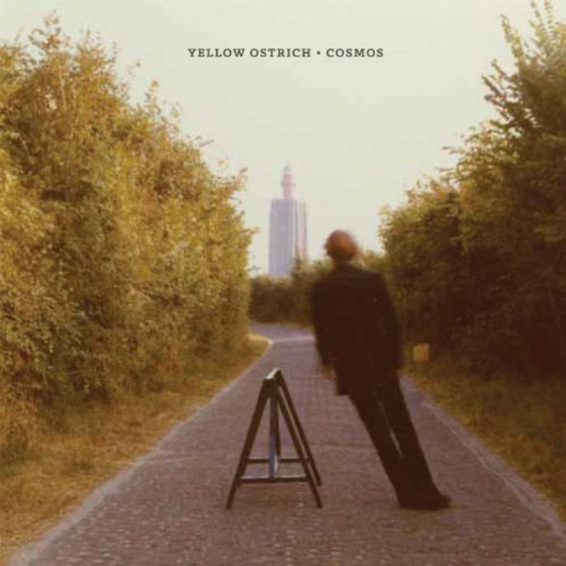 Yellow Ostrich: Cosmos