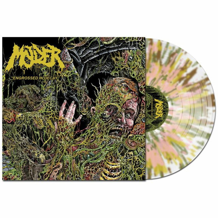 Molder: Engrossed In Decay
