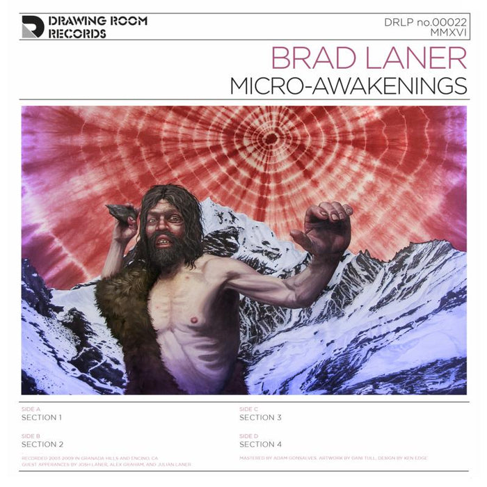 Brad Laner: Micro-Awakenings