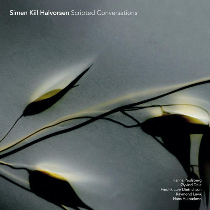 Simen Kiil Halvorsen, Hanna Paulsberg, Oyvind Dale, Fredrik Luhr Dietrichson, Raymond Lavik and Hans Hulaekmo: Scripted Conversation