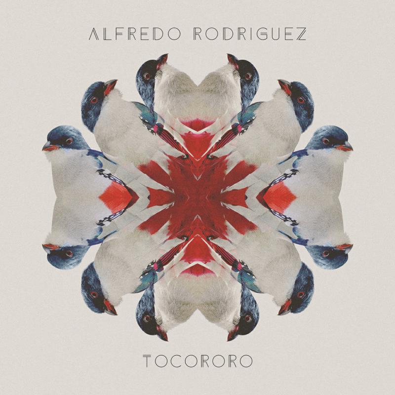 Alfredo Rodriguez: Tocororo