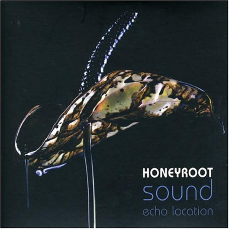 Honeyroot: Sound Echo Location