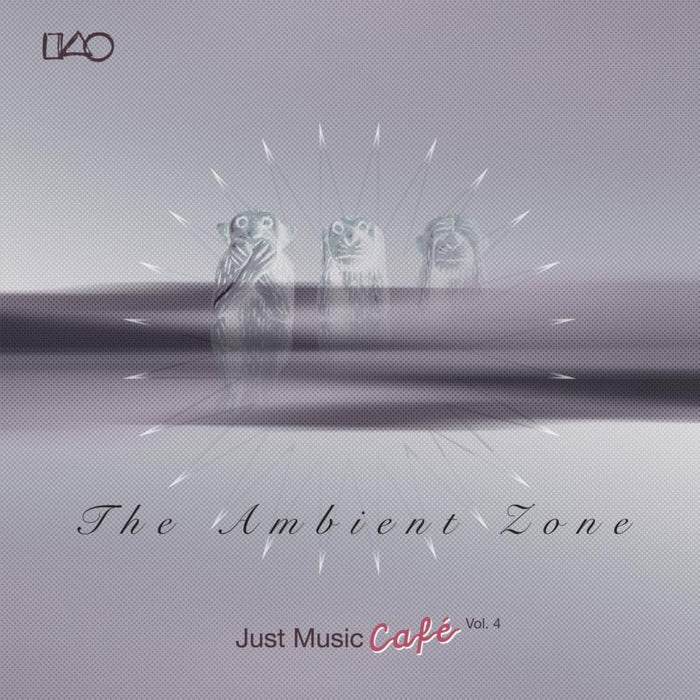 Various Artists: Just Music Cafe Vol. 4: The Ambient Zone