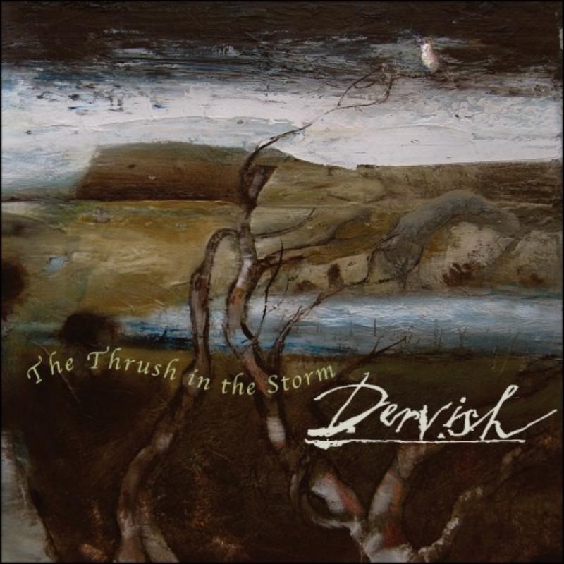Dervish: Thrush In The Storm