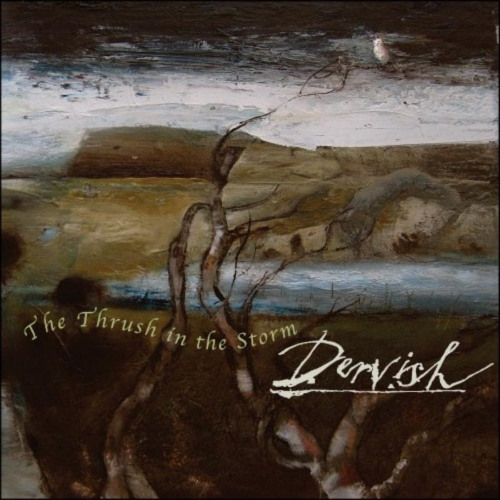 Dervish: Thrush In The Storm