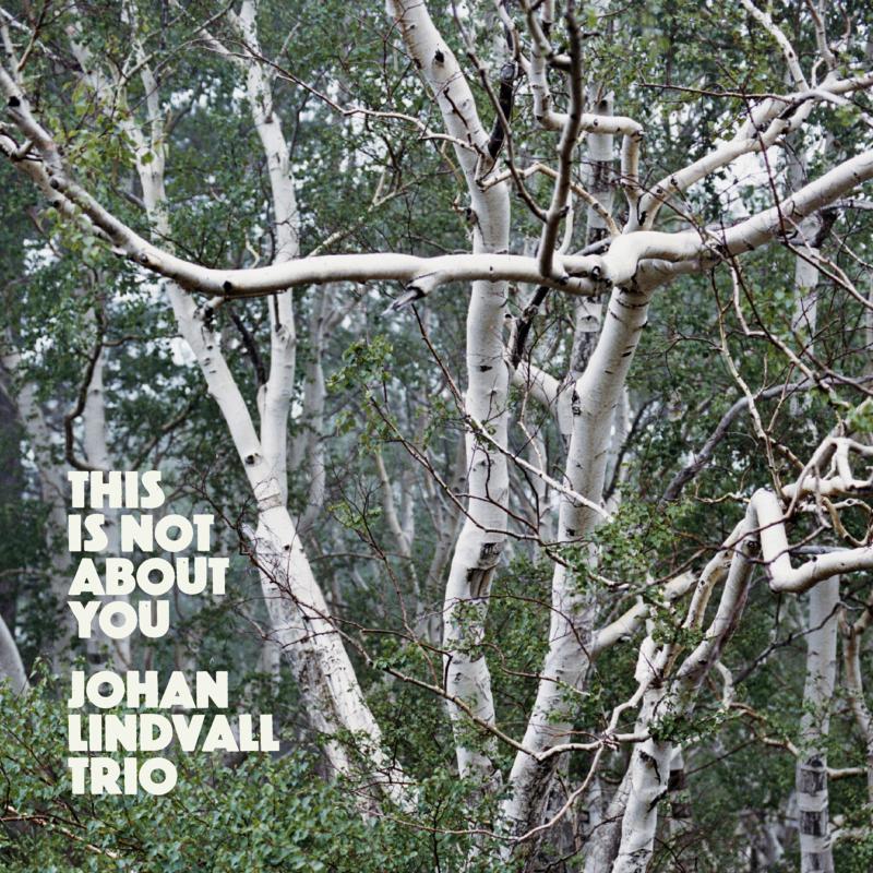Johan Lindvall Trio: This Is Not About You