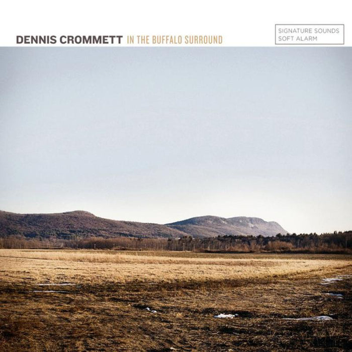 Dennis Crommett: In The Buffalo Surro