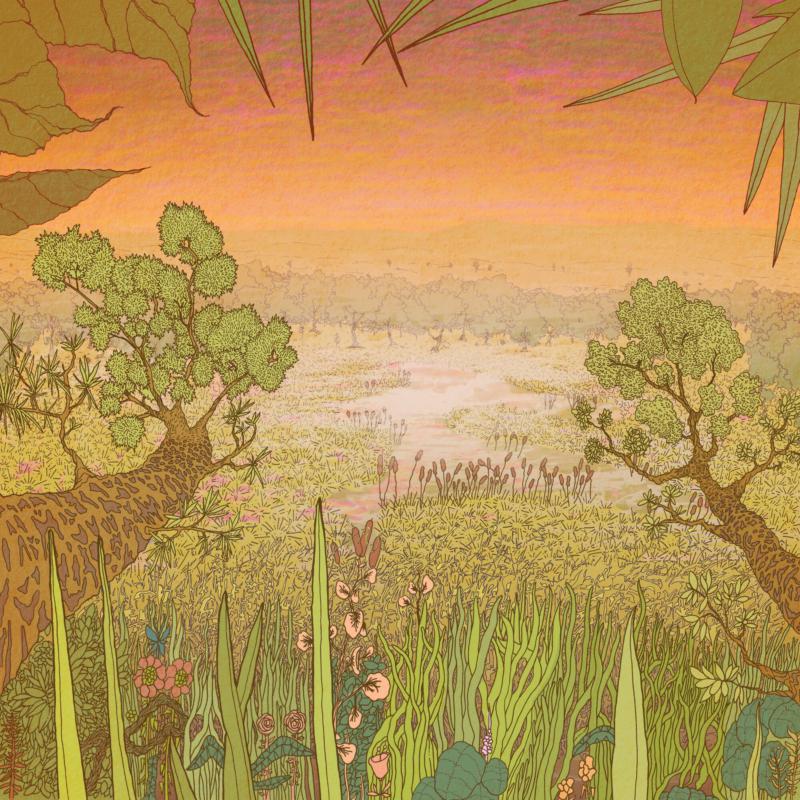 Pine Barons: Mirage On The Meadow (LP)