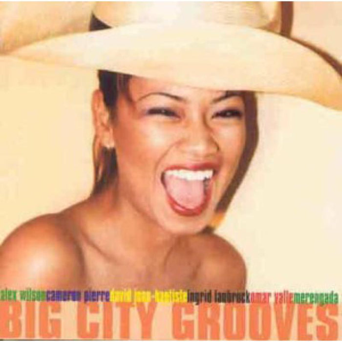 Various Artists: Big City Grooves