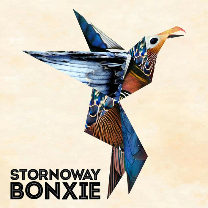 Stornoway: Bonxie