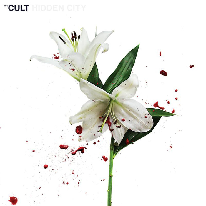 The Cult: Hidden City