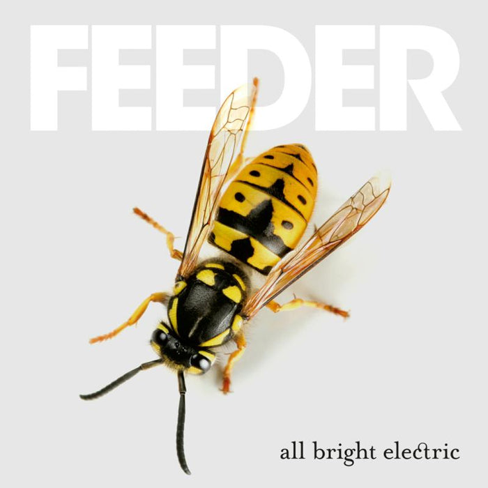 Feeder: All Bright Electric
