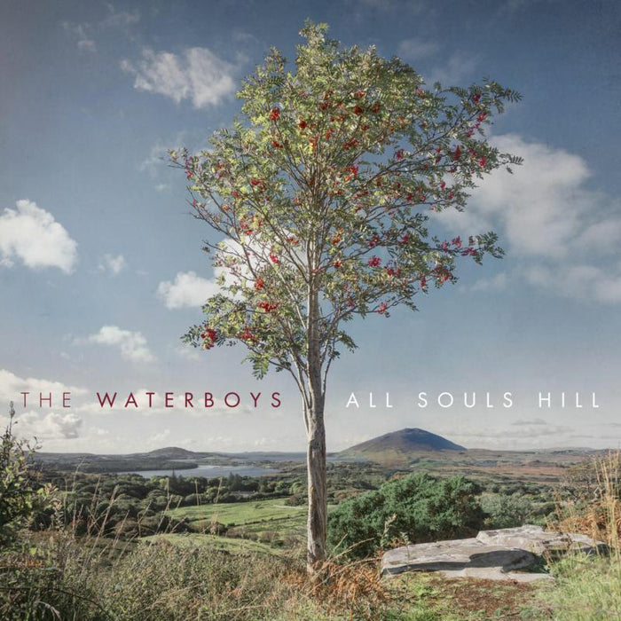 THE WATERBOYS – A rock in the weary land (2000) Establishing Mike